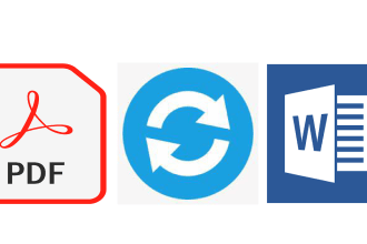 convert pdf to word