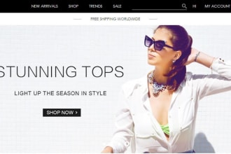 redesign or design clothing website shopify clothing website fashion website