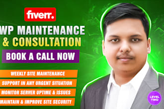 perform wordpress maintenance, tech support and consultation