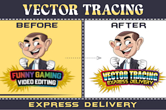 do vector design from raster, vector tracing, vector illustration, redraw