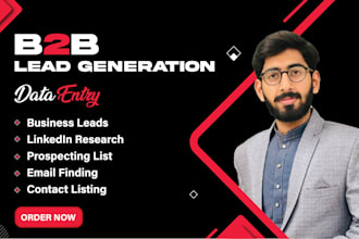 be your virtual assistant for data entry, usa b2b lead generation, web research