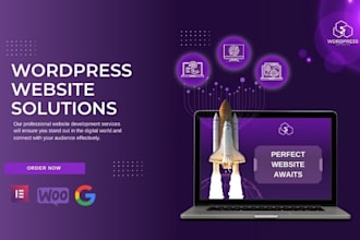 build user friendly ,premium, responsive,ecommerce   website