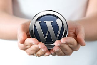 customize wp theme or plugin