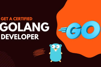be your golang  developer, go developer for api,custom website