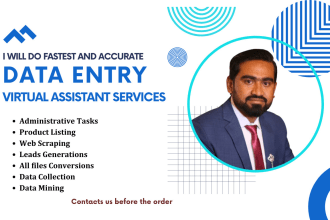 provide you with fast and profitable ebay shopify virtual assistant services