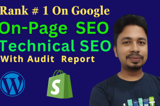 perfect on page  and technical SEO audit for your website