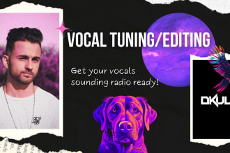 tune and mix your vocals for your song