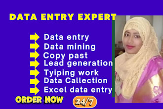 do fastest data entry, data mining, copy peste,  typing, and excel data entry