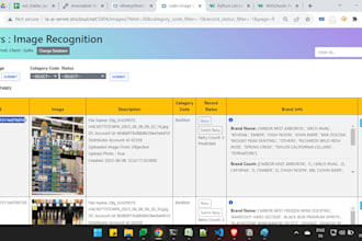 deliver python django web app developer for your project