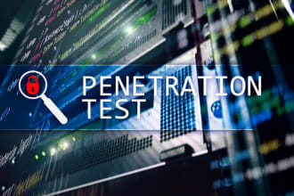 do advanced pentest on your website with report
