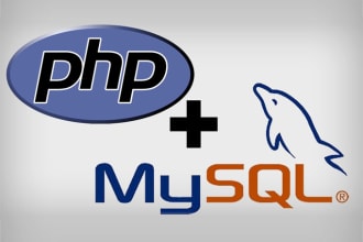 fix php and mysql related issues in 24 hours