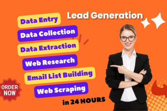 perfect data entry, data mining, data collection, web research, lead generation