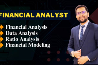 perform financial, managerial, statistical and data analysis