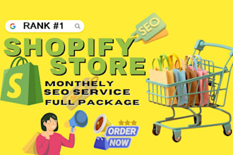 provide full SEO package service to rank your web store in higher google