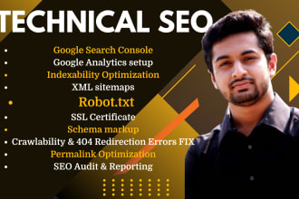 provide technical SEO optimize and audit wordpress website