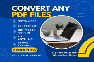 convert pdf to word