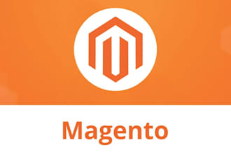 develop, design, fix and customize professional magento store