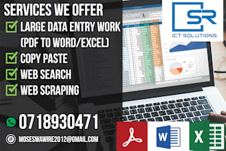 do data entry, web scraping, data inventory and copy paste