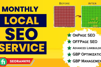 provide monthly local SEO service