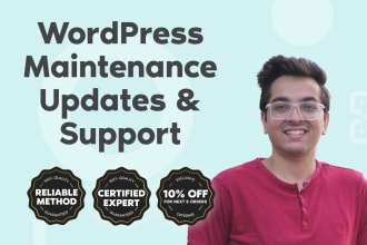 do wordpress website maintenance, update and support