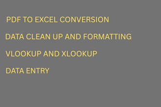 convert PDF to excel, clean messy data, and organize sheets