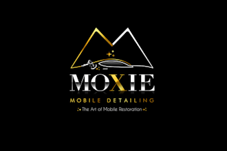 do auto dealership, car detailing, auto repair,  logo