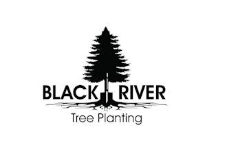 create modern landscape and lawn care logo
