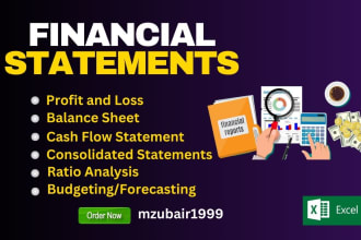 prepare financial statements, income statement, profit and loss and cash flow