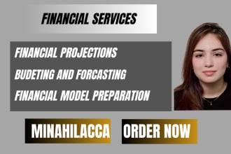 do financial modeling, financial projections, budgeting, and  forecasting