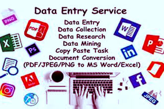 do a fast typing job, retype pages,pdf to word, pdf to excel