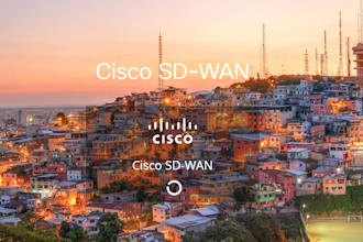 teach you cisco sdwan sandbox lab setup