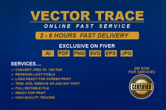 do vector tracing or convert to vector quickly