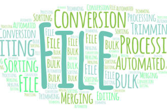 build automated file conversion, processing and editing bot