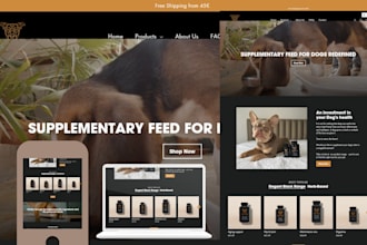 create shopify website redesign  website dropshipping store design site web