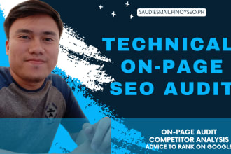 do full SEO on page technical audit of your website