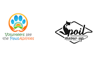 do pet animal dog cat unique modern logo design and redesign