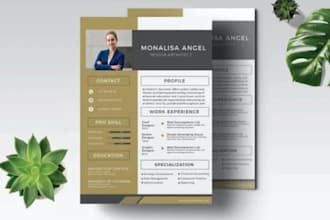 make your professional resume and modern CV templet