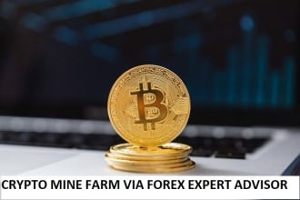 customize and integrate crypto payment gateway on websites and apps