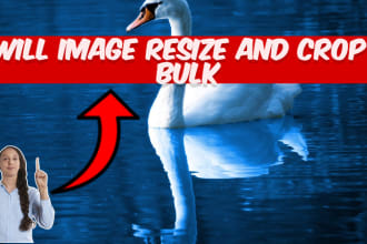 image resize and crop in bulk