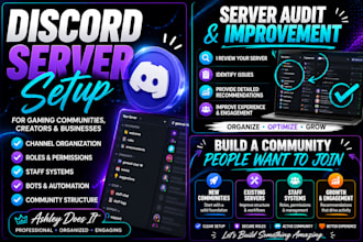 setup and organize a professional discord community