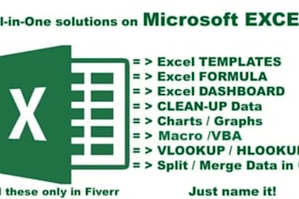 data entery,cleaning,analysis,visualization,pivot table,conditional formatting