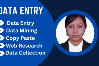do data entry, data collection, excel data entry, copy paste, web research