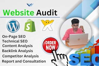 do complete website SEO audit report and top ranking