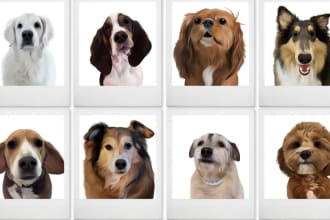 draw pet, dog, and cat to vector portrait