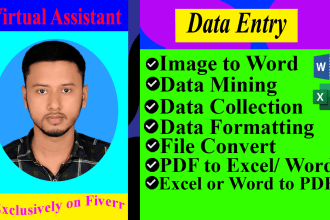 do excel or word data entry, data mining, files convert
