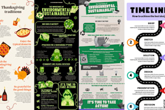 design a professional unique infographic