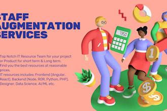 provide IT staff augmentation from pakistan