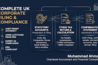 prepare and file UK company accounts with companies house