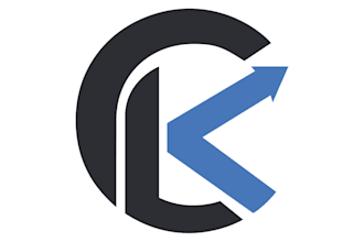 design custom, automated financial reports for you on excel or googlesheets