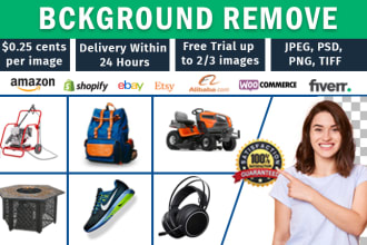 fast background removal, cutout, and clipping path service